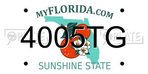 4005TG Florida License Plate