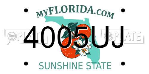 4005UJ Florida License Plate