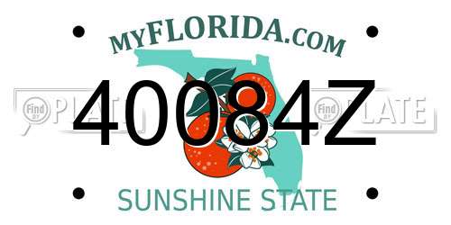 40084Z Florida License Plate