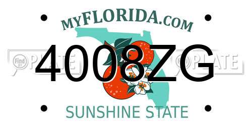 4008ZG Florida License Plate