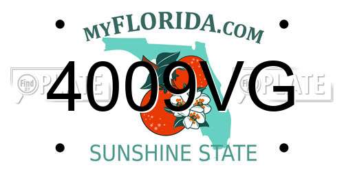 4009VG Florida License Plate