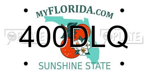 400DLQ Florida License Plate