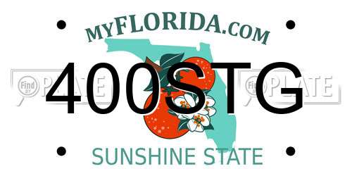 400STG Florida License Plate
