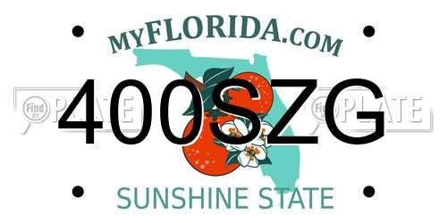 400SZG Florida License Plate
