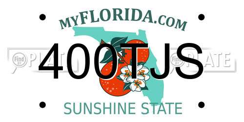 400TJS Florida License Plate