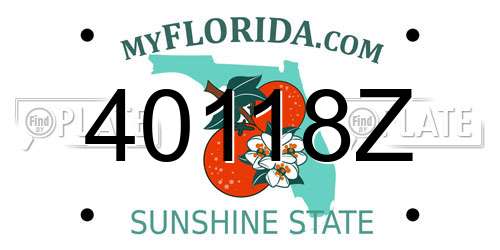 40118Z Florida License Plate