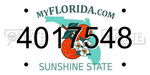4017548 Florida License Plate
