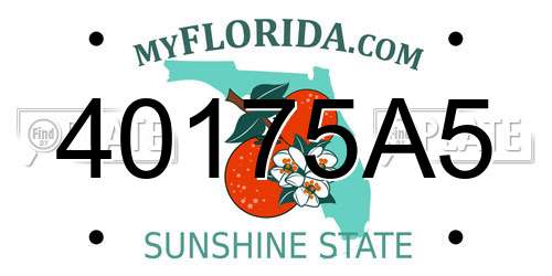 40175A5 Florida License Plate