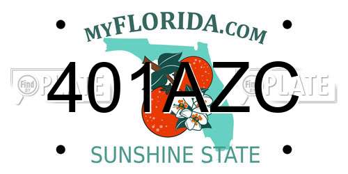 401AZC Florida License Plate