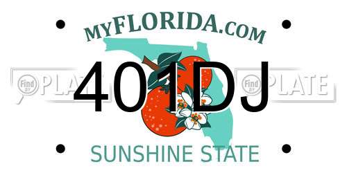 401DJ Florida License Plate