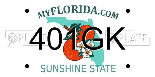 401GK Florida License Plate