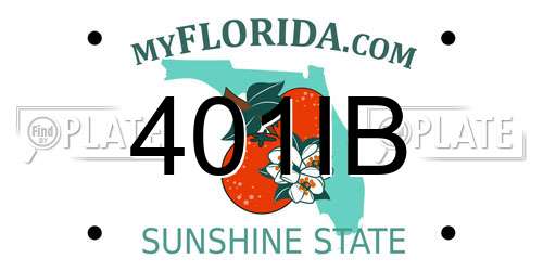 401IB Florida License Plate