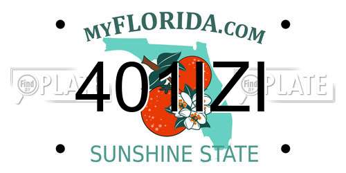401IZI Florida License Plate