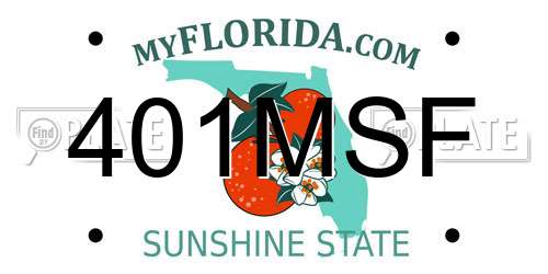 401MSF Florida License Plate