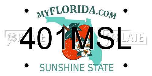 401MSL Florida License Plate