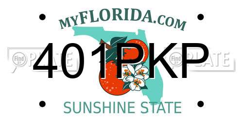 401PKP Florida License Plate