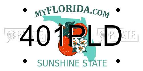 401PLD Florida License Plate