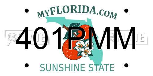 401PMM Florida License Plate