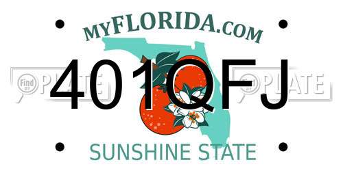 401QFJ Florida License Plate
