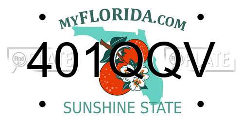 401QQV Florida License Plate