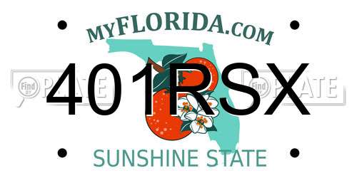 401RSX Florida License Plate