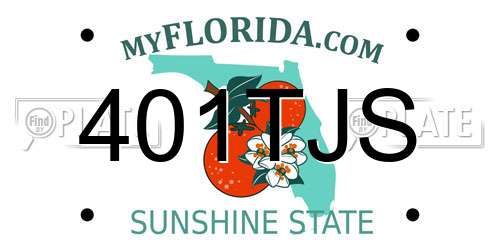 401TJS Florida License Plate
