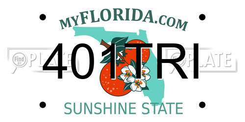401TRI Florida License Plate