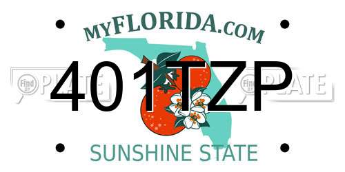 401TZP Florida License Plate