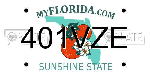 401VZE Florida License Plate