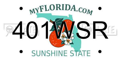 401WSR Florida License Plate