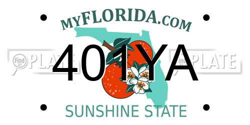 401YA Florida License Plate
