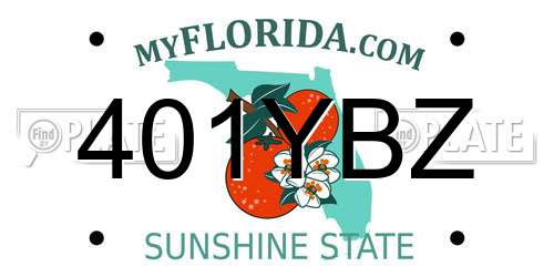 401YBZ Florida License Plate