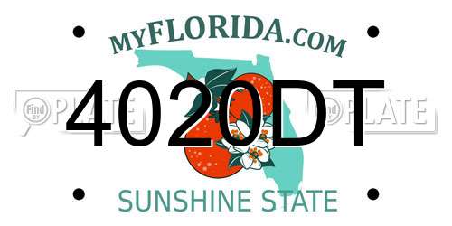 4020DT Florida License Plate