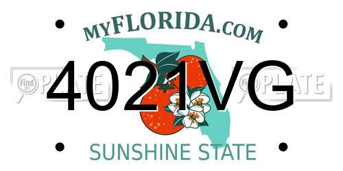 4021VG Florida License Plate