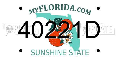 40221D Florida License Plate