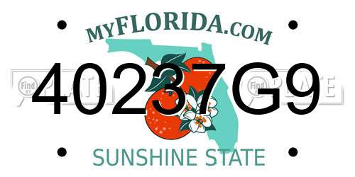40237G9 Florida License Plate