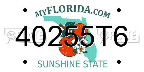 40255T6 Florida License Plate