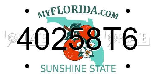 40258T6 Florida License Plate