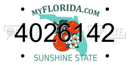 4026142 Florida License Plate