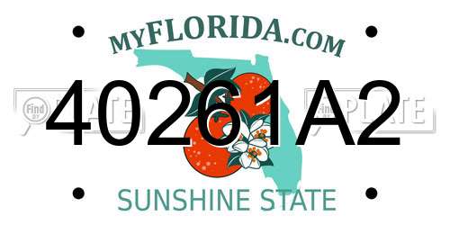 40261A2 Florida License Plate