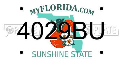 4029BU Florida License Plate