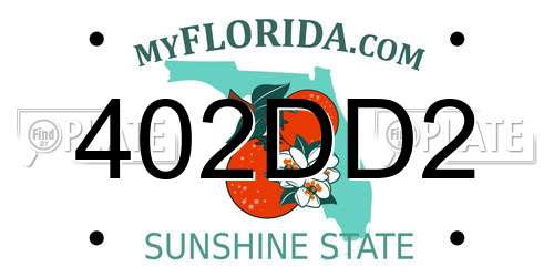 402DD2 Florida License Plate