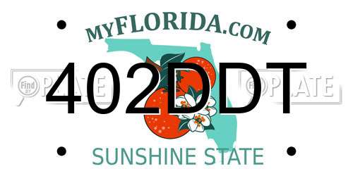 402DDT Florida License Plate