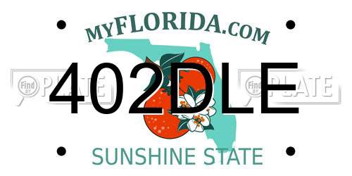 402DLE Florida License Plate