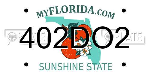 402DO2 Florida License Plate
