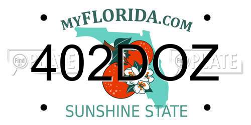 402DOZ Florida License Plate
