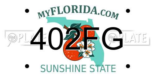 402FG Florida License Plate