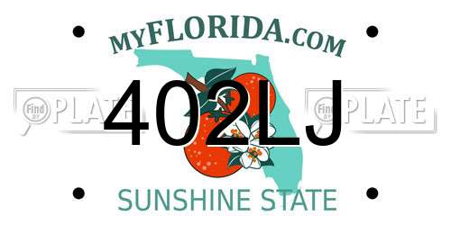 402LJ Florida License Plate