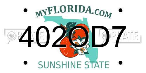 402OD7 Florida License Plate