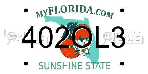 402OL3 Florida License Plate